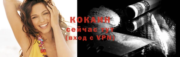 скорость Ельня