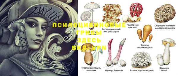 скорость Ельня